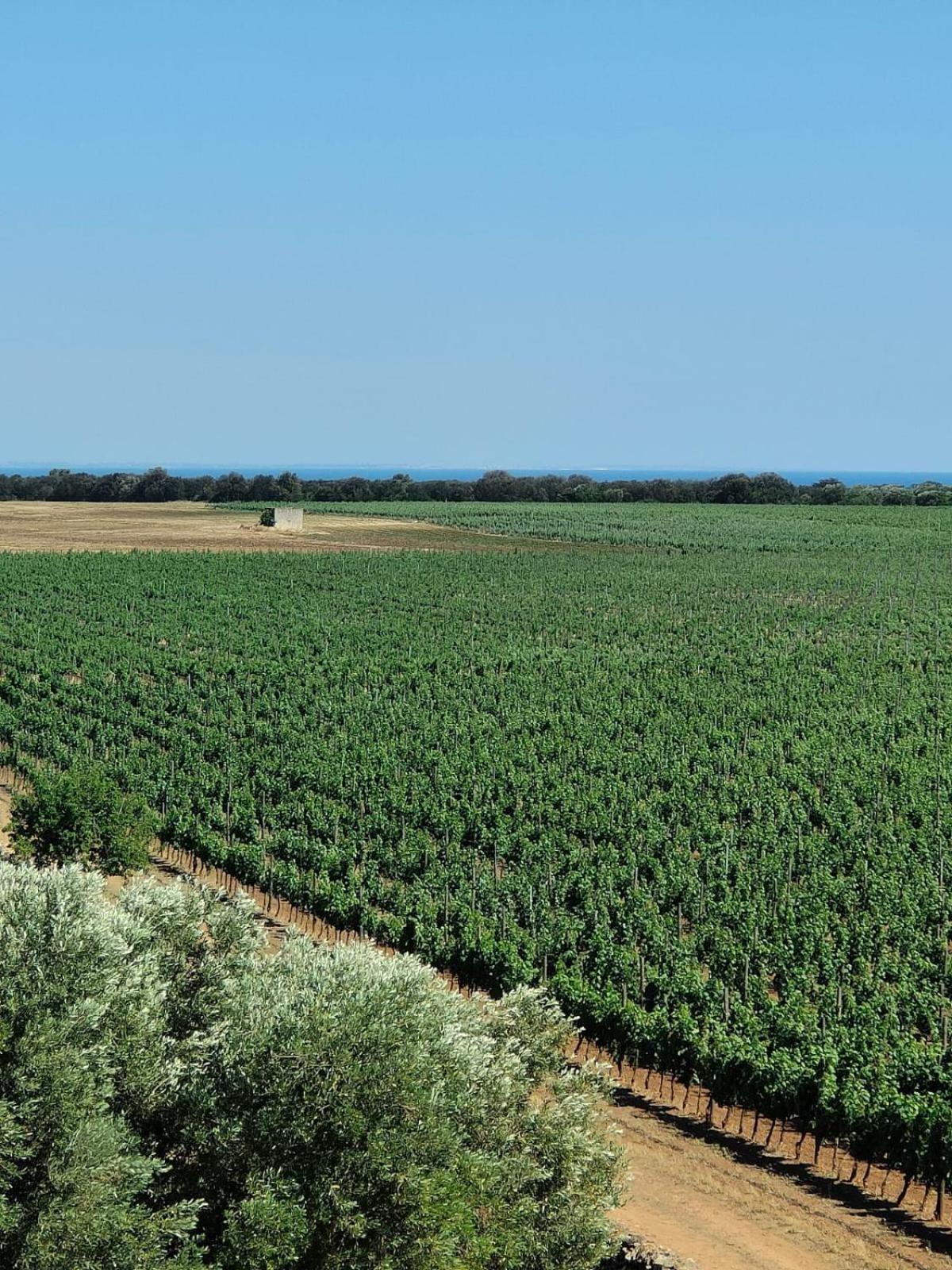 Nordisk Village Puglia ماندوريا المظهر الخارجي الصورة